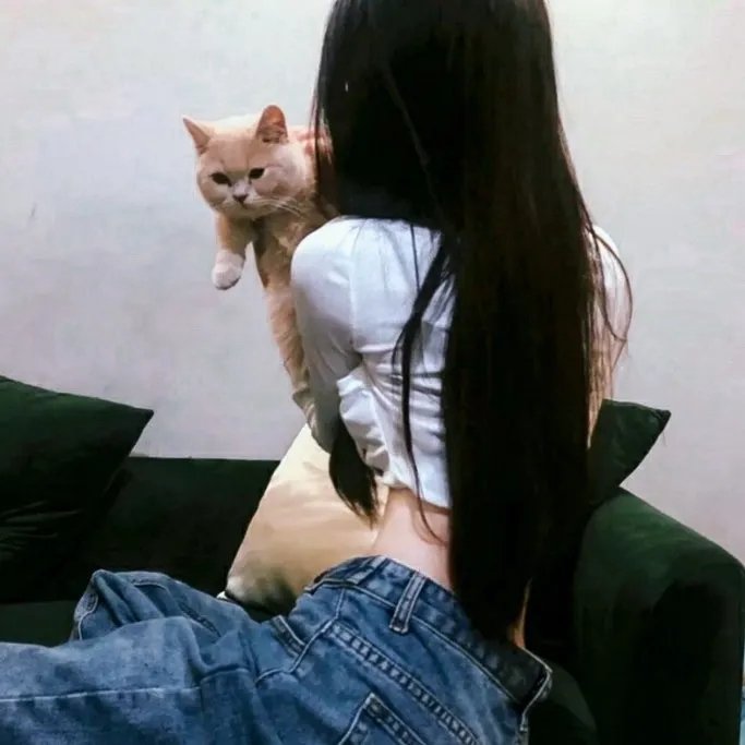 当猪起飞