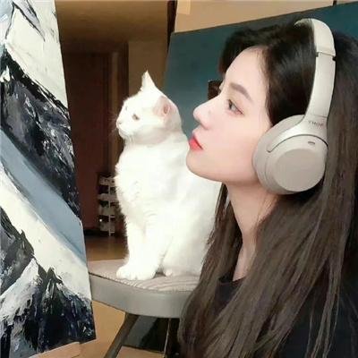 姚明来了