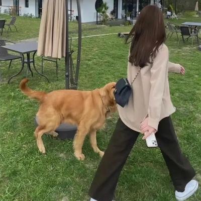 地窖